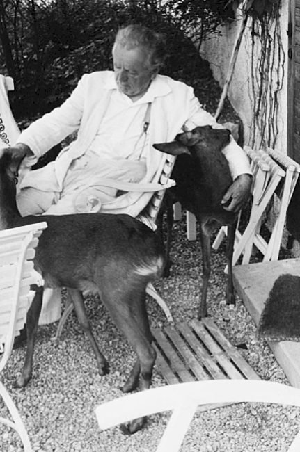 12-Philipp-Harth-Rehe-Terrasse-Deer